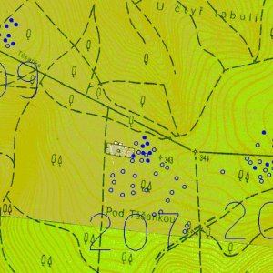 Ždánický les 2018. 207 - Bošovice 1 (okr. Vyškov) - trať U dvou závor, Pod Těšankou - mohylové pohřebiště - střední doba bronzová, starší doba železná; 208 - Bošovice 2 (okr. Vyškov) - trať U čtyř tabulí, Pod Těšankou - mohylové pohřebiště - střední doba bronzová, starší doba železná; 209 - Bošovice 3 (okr. Vyškov) - trať Křesťanov - mohylové pohřebiště - dosud blíže nedatováno. Schematické zaměření jednotlivých mohyl (modrá barva) pomocí GPS na podkladu ZM 1:10 000. Druhotně porušené násypy mohyl jsou modře vybarvené.  dosud blíže nedatováno